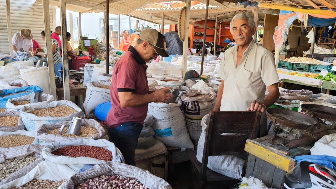 Feira e Mercado Público